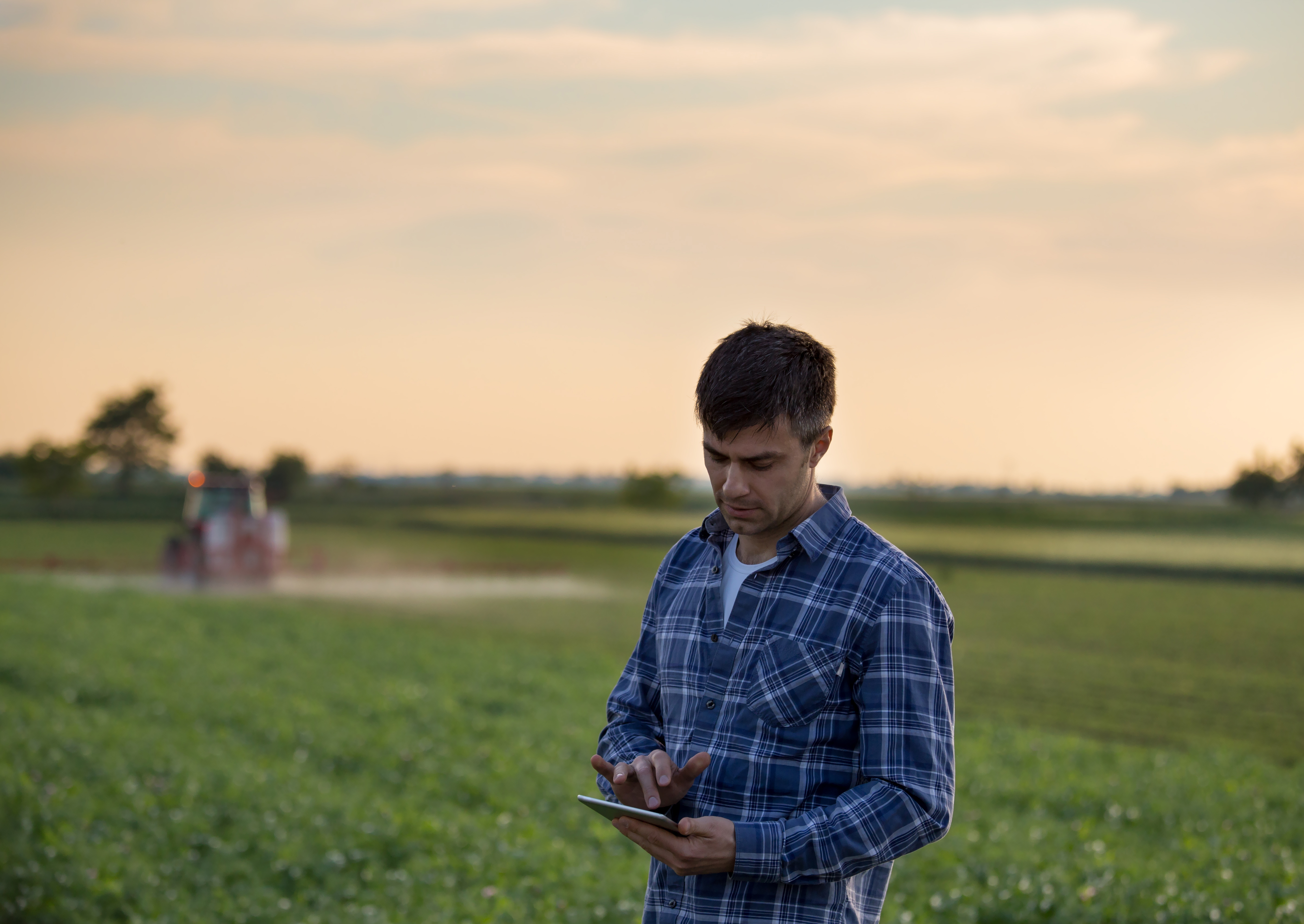 IStock-1164557983-story 2.jpg